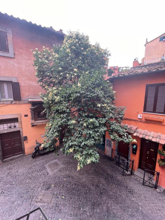 Domus Remi Apartment Rome Bagian luar foto